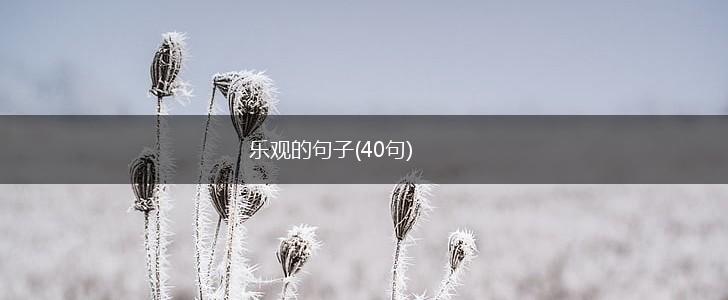 乐观的句子(40句),第1张