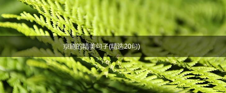 京剧的精美句子(精选20句),第1张