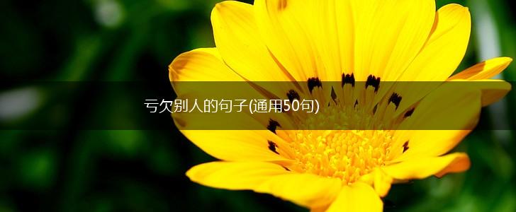 亏欠别人的句子(通用50句),第1张