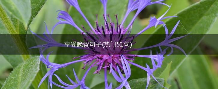 享受晚餐句子(热门51句),第1张