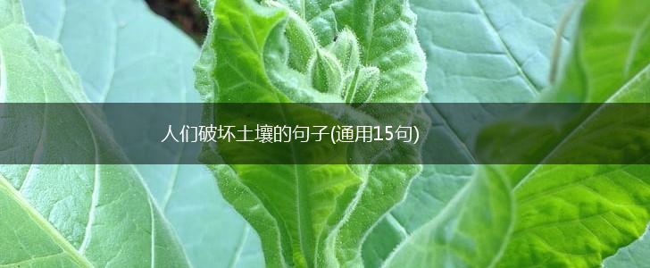 人们破坏土壤的句子(通用15句),第1张