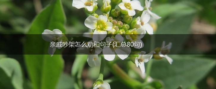 亲戚吵架怎么劝和句子(汇总80句),第1张