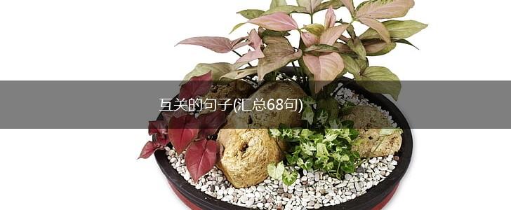 互关的句子(汇总68句),第1张