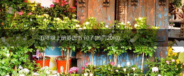 五年级上册英语书 句子(热门20句),第1张