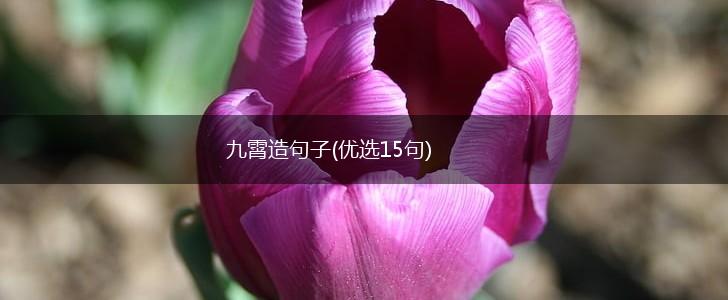 九霄造句子(优选15句),第1张