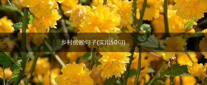 乡村傍晚句子(实用50句),第1张