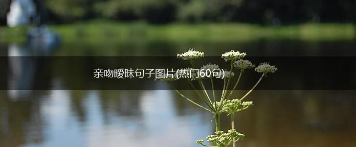 亲吻暧昧句子图片(热门60句),第1张