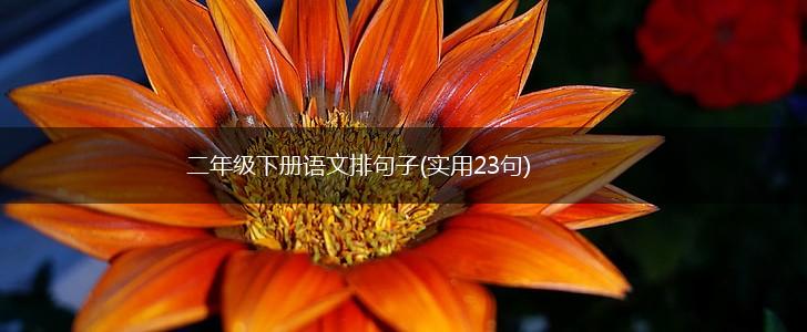 二年级下册语文排句子(实用23句),第1张