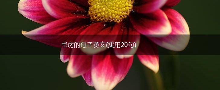 书房的句子英文(实用20句),第1张