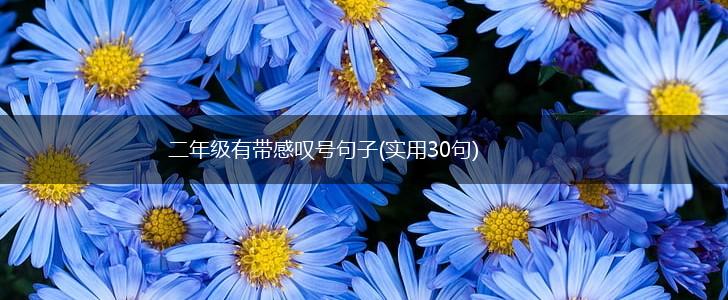 二年级有带感叹号句子(实用30句),第1张