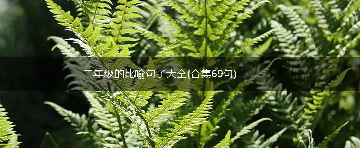 二年级的比喻句子大全(合集69句),第1张