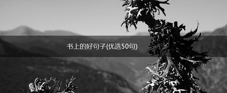 书上的好句子(优选50句),第1张