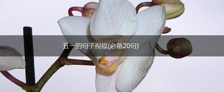 五一的句子祝福(必备20句),第1张