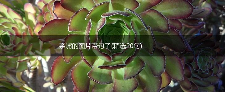 亲嘴的图片带句子(精选20句),第1张