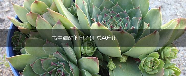 书中清醒的句子(汇总40句),第1张