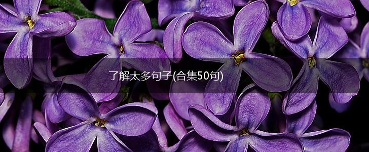 了解太多句子(合集50句),第1张