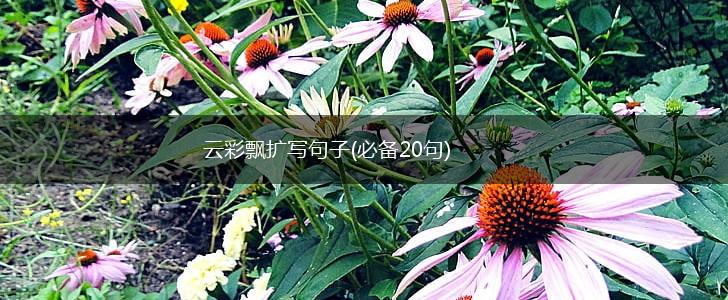 云彩飘扩写句子(必备20句),第1张