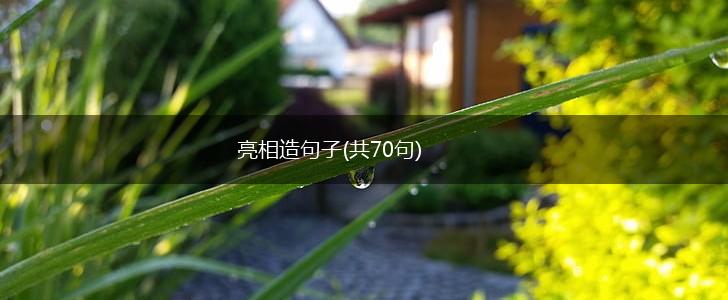 亮相造句子(共70句),第1张