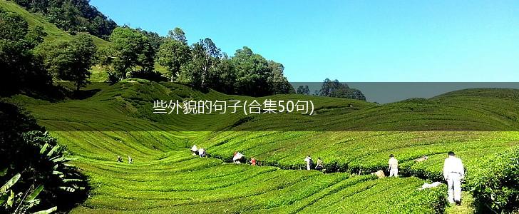 些外貌的句子(合集50句),第1张