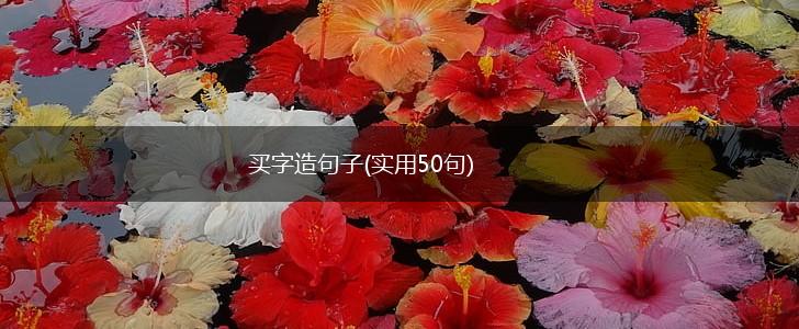 买字造句子(实用50句),第1张