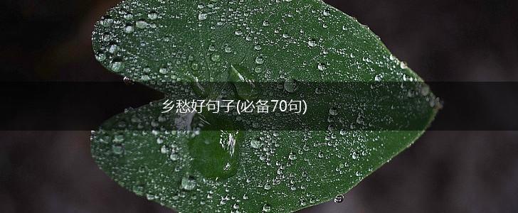 乡愁好句子(必备70句),第1张