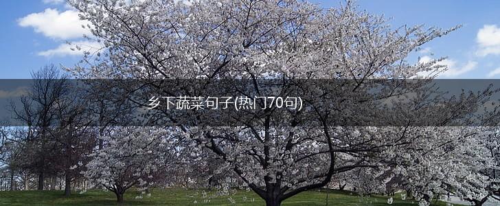 乡下蔬菜句子(热门70句),第1张
