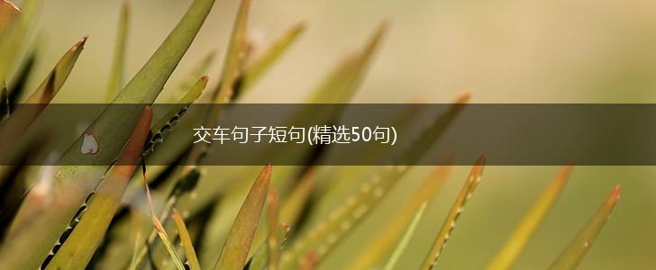 交车句子短句(精选50句),第1张