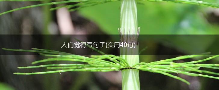 人们觉得写句子(实用40句),第1张