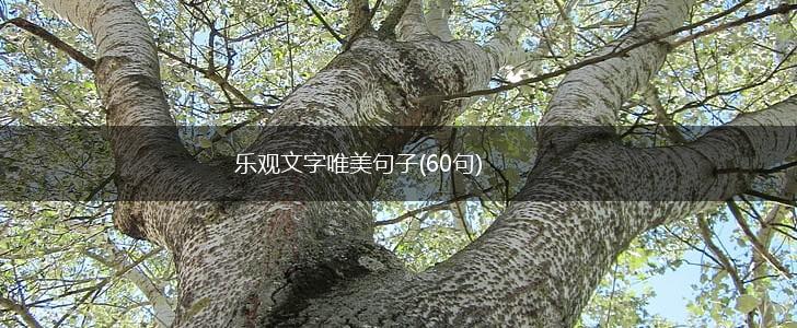 乐观文字唯美句子(60句),第1张