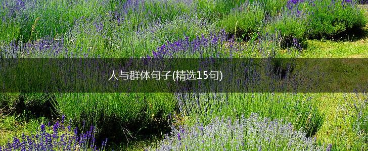 人与群体句子(精选15句),第1张