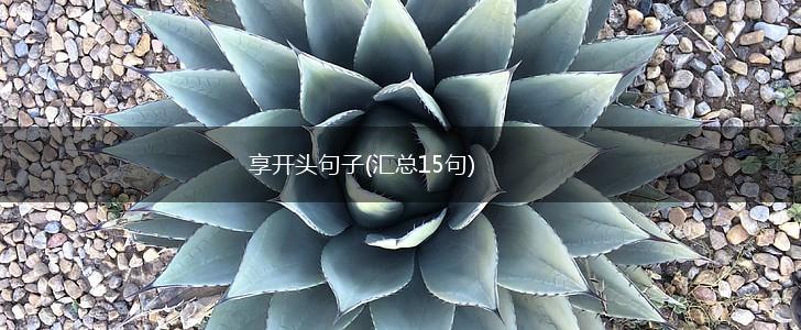 享开头句子(汇总15句),第1张