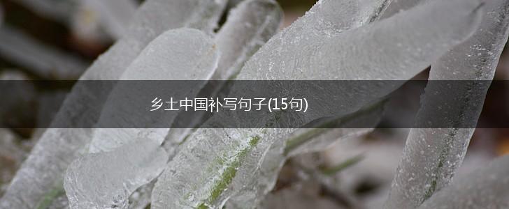 乡土中国补写句子(15句),第1张