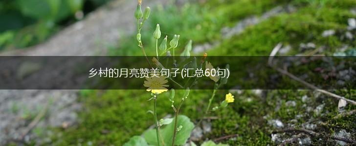 乡村的月亮赞美句子(汇总60句),第1张