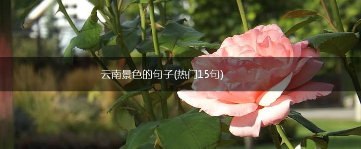 云南景色的句子(热门15句),第1张