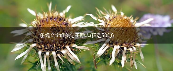 乐观文字唯美句子励志(精选50句),第1张