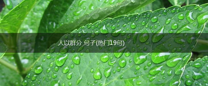 人以群分 句子(热门19句),第1张