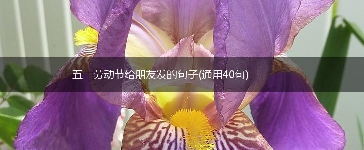 五一劳动节给朋友发的句子(通用40句),第1张