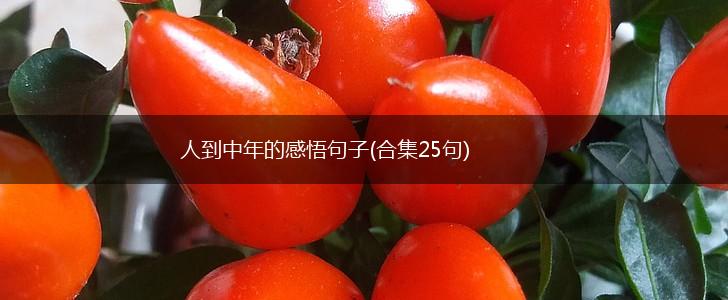 人到中年的感悟句子(合集25句),第1张