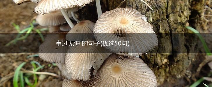 事过无悔 的句子(优选50句),第1张