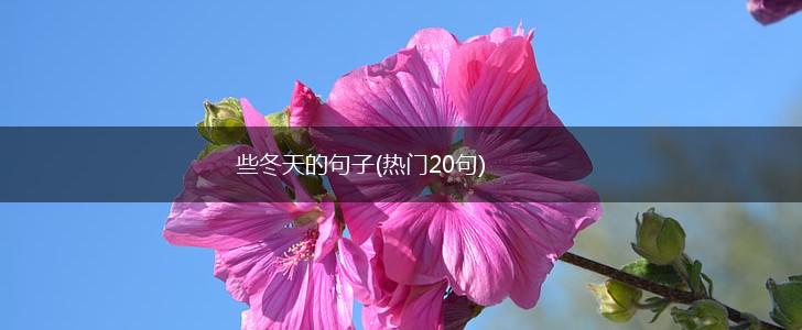 些冬天的句子(热门20句),第1张