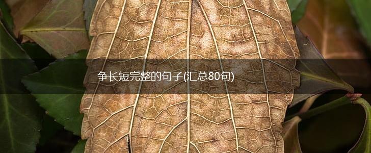 争长短完整的句子(汇总80句),第1张