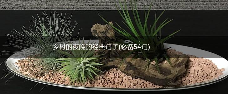 乡村的夜晚的经典句子(必备54句),第1张