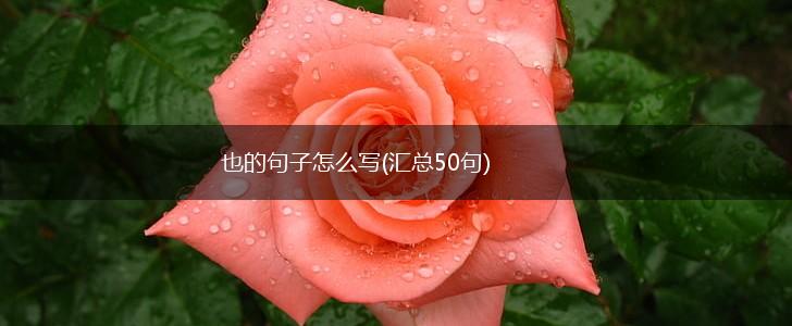 也的句子怎么写(汇总50句),第1张
