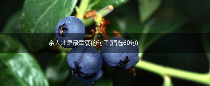 亲人才是最重要的句子(精选60句),第1张
