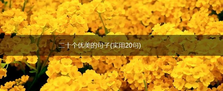二十个优美的句子(实用20句),第1张