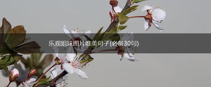 乐观姐妹图片唯美句子(必备30句),第1张