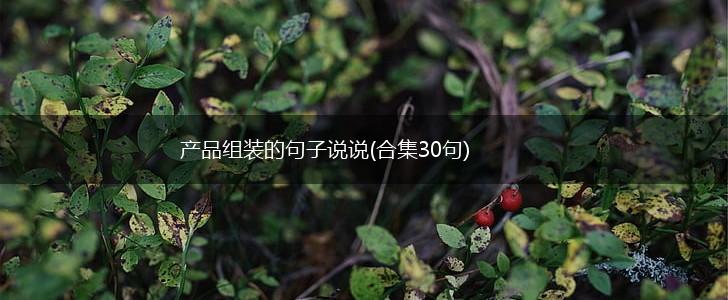 产品组装的句子说说(合集30句),第1张
