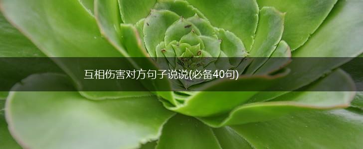 互相伤害对方句子说说(必备40句),第1张