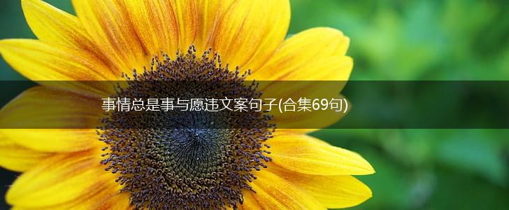 事情总是事与愿违文案句子(合集69句),第1张