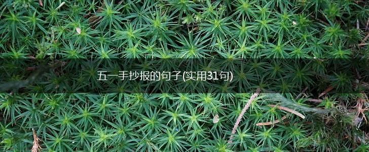 五一手抄报的句子(实用31句),第1张